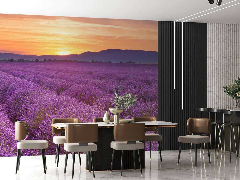 Campo pieno di lavanda