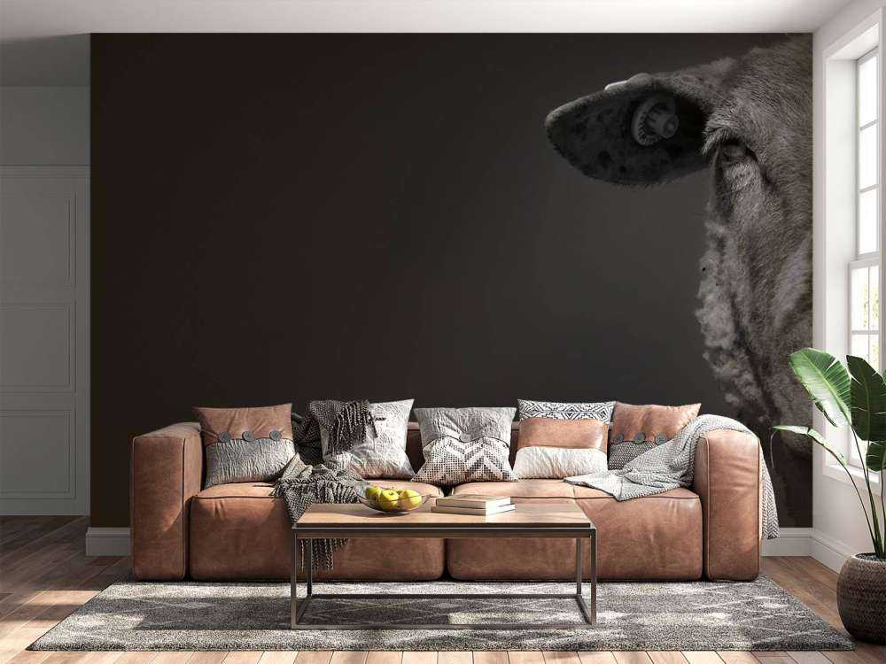 Pecora primo piano in bianco e nero