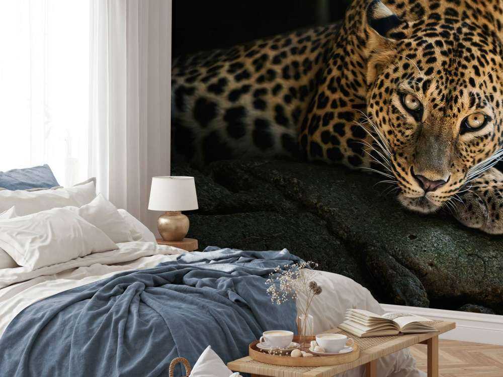 Pantera nella foresta