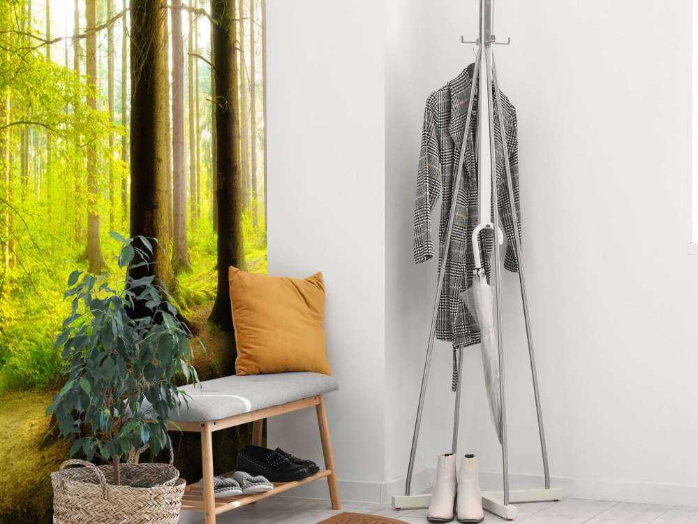 Fresca foresta verde