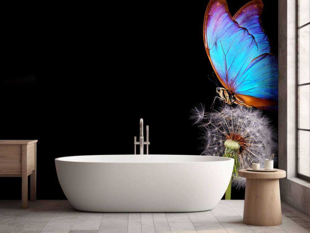 Farfalla blu su un dente di leone