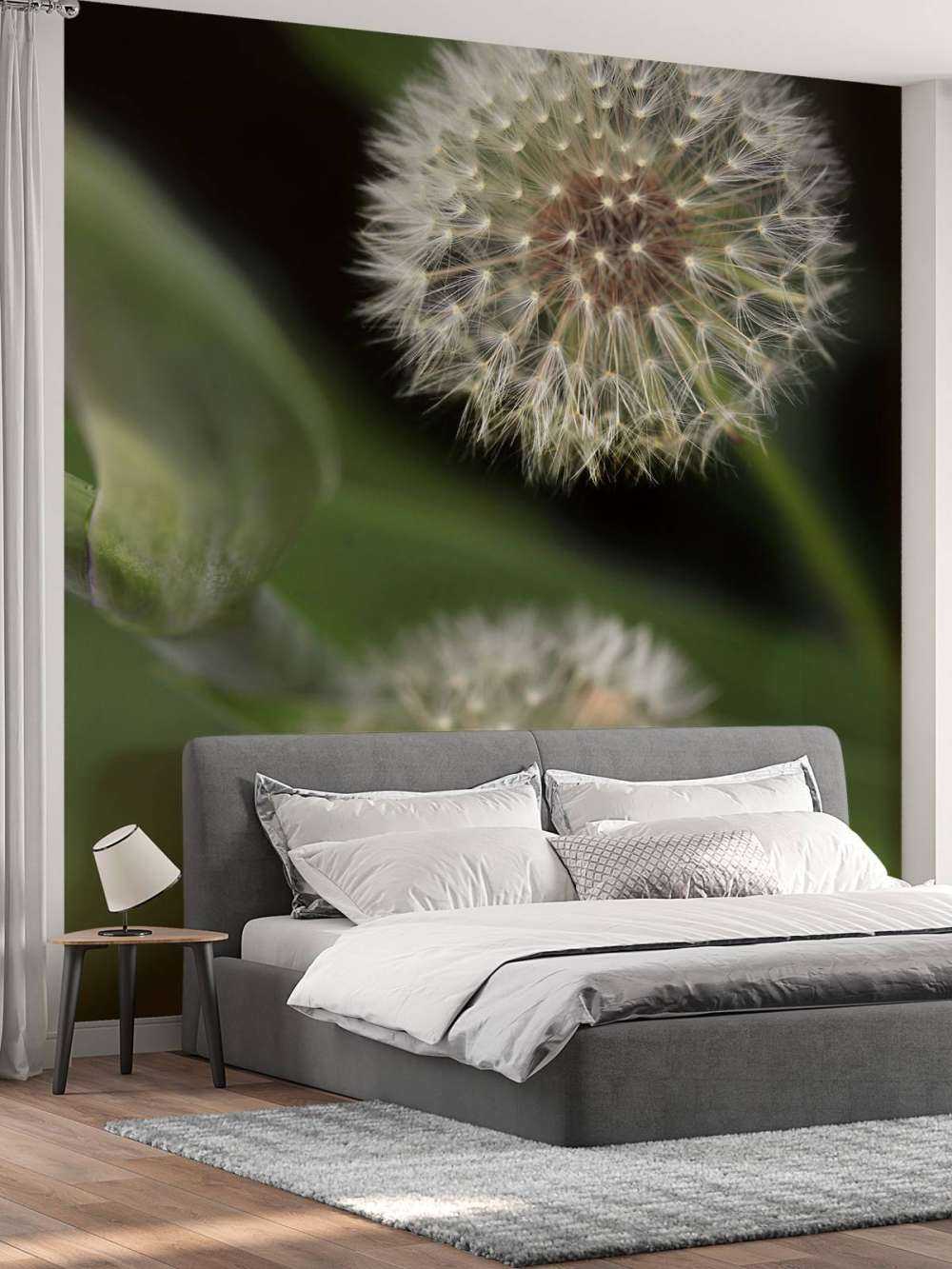 Denti di leone ravvicinati