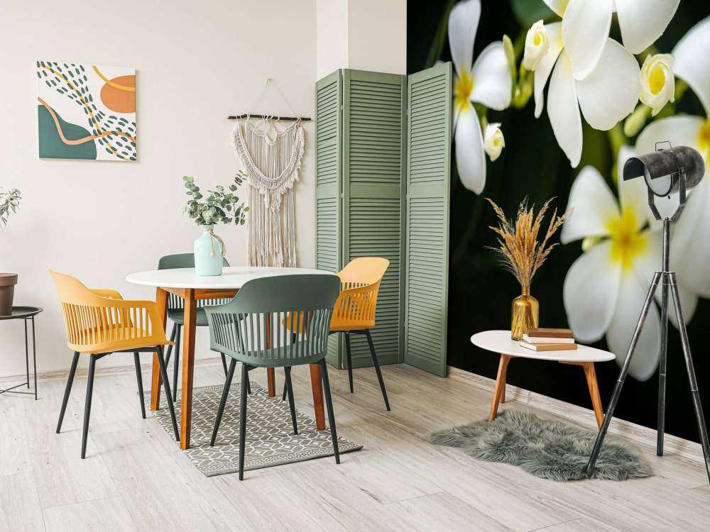 Plumeria primo piano