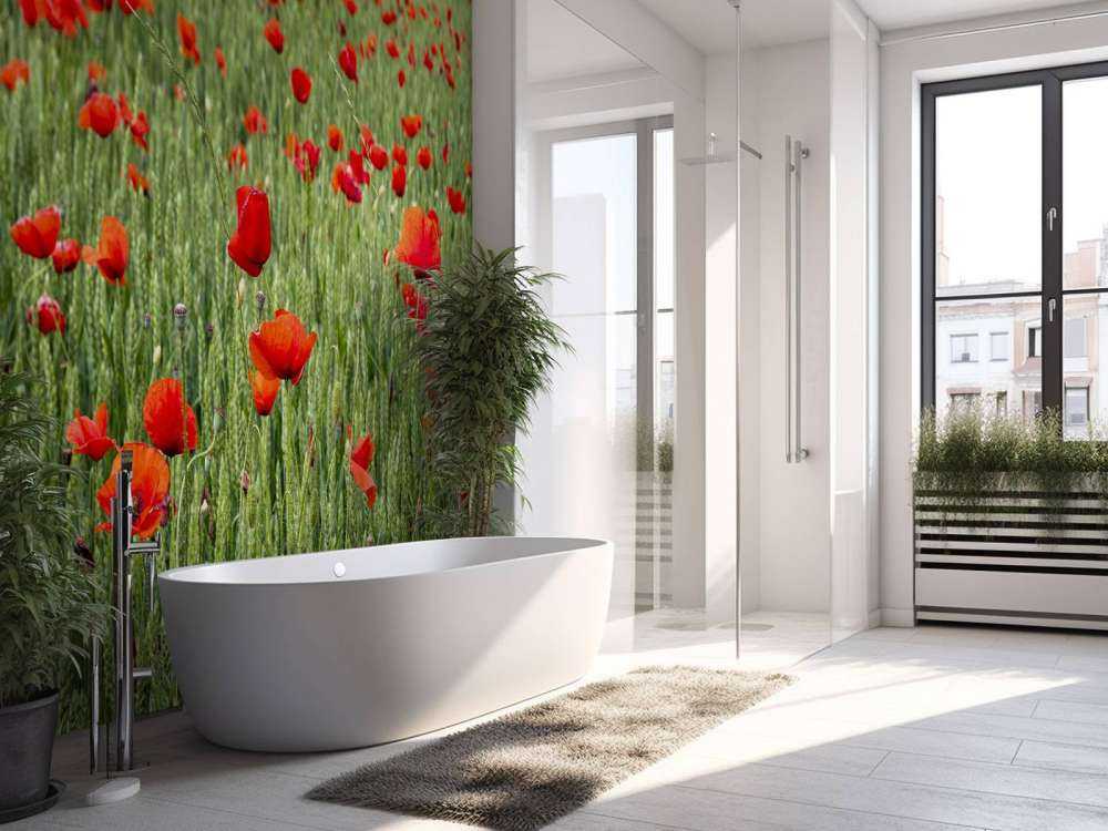 Campo di papaveri rossi