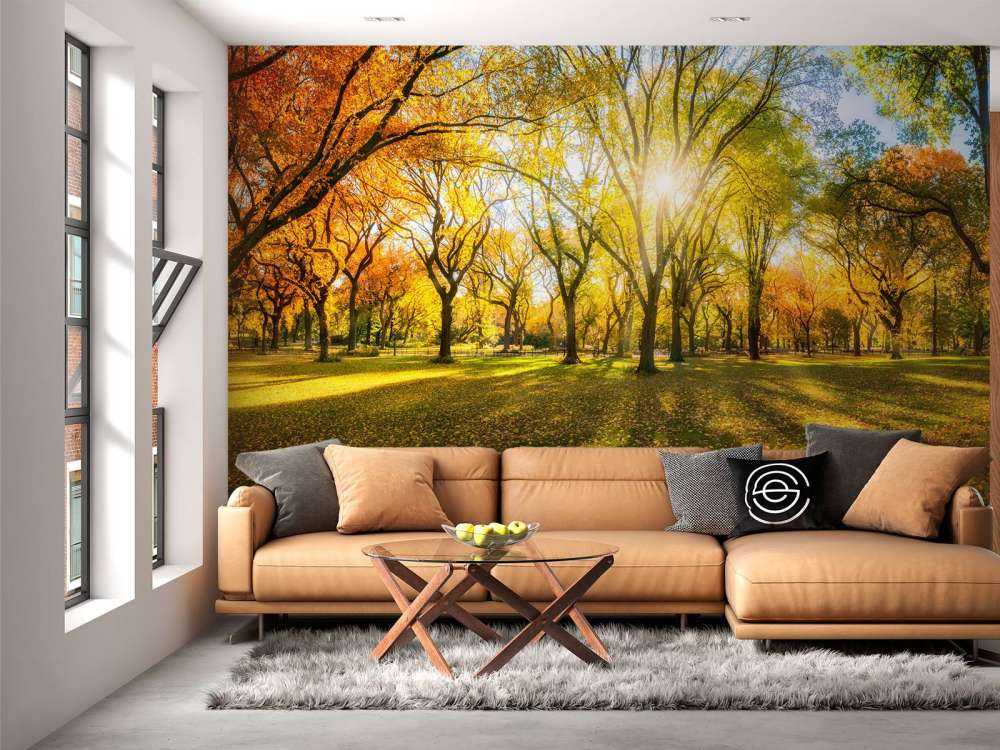 Foresta autunnale colorata