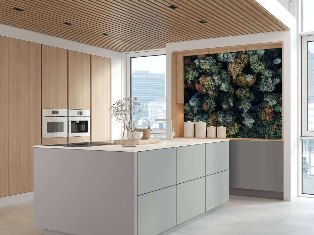 Foresta autunnale dall'alto