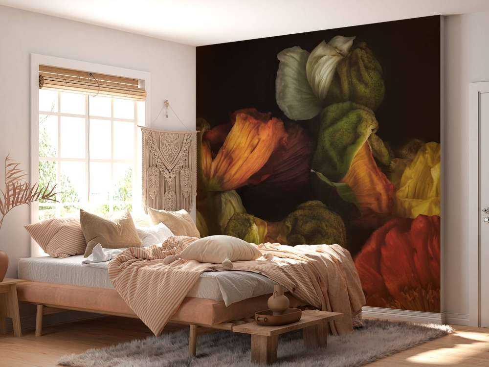 Papaveri compositi in erba