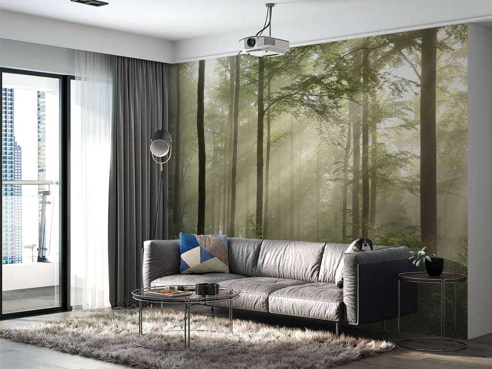 Foresta verde nella nebbia