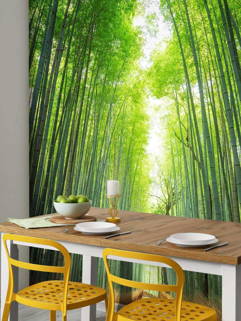 Sentiero attraverso il bambù