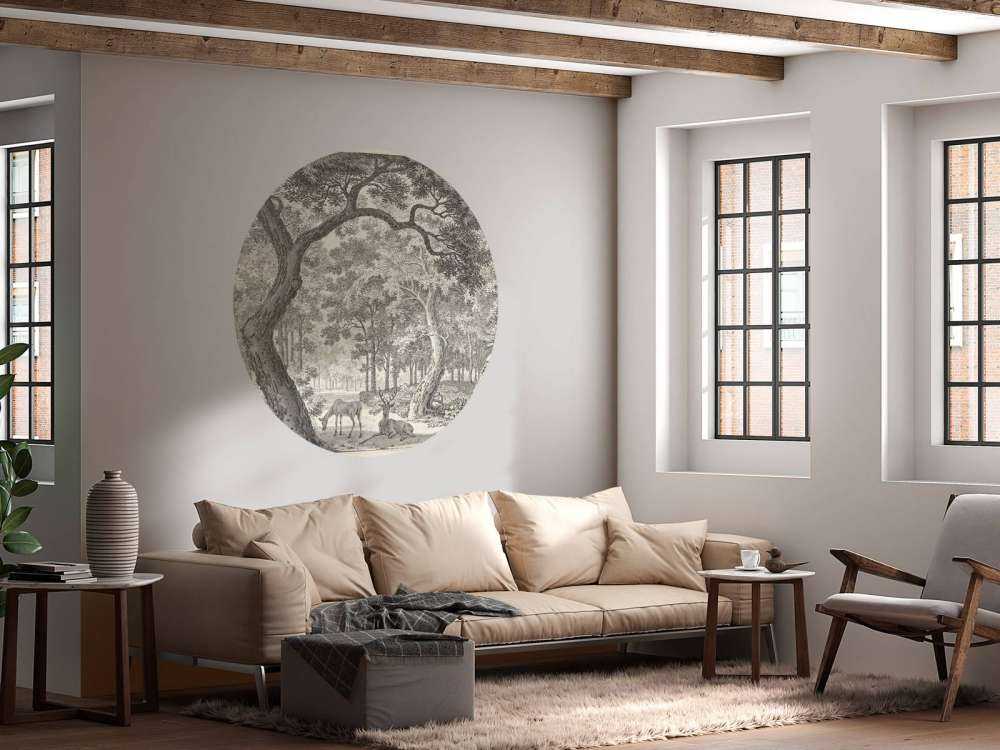 Vista sulla foresta con due cervi