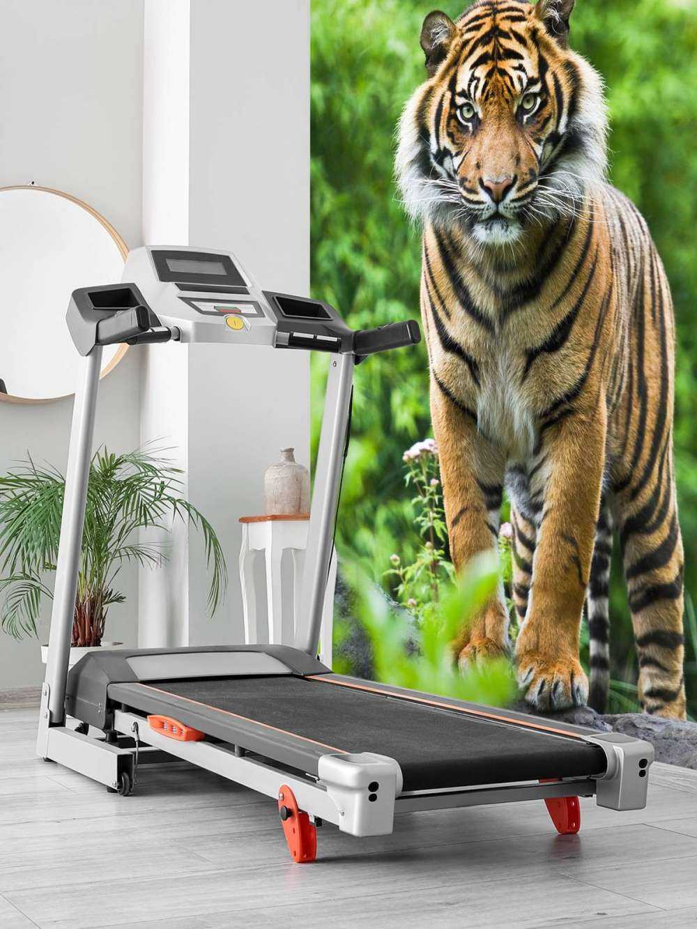 Tigre in piedi su una pietra