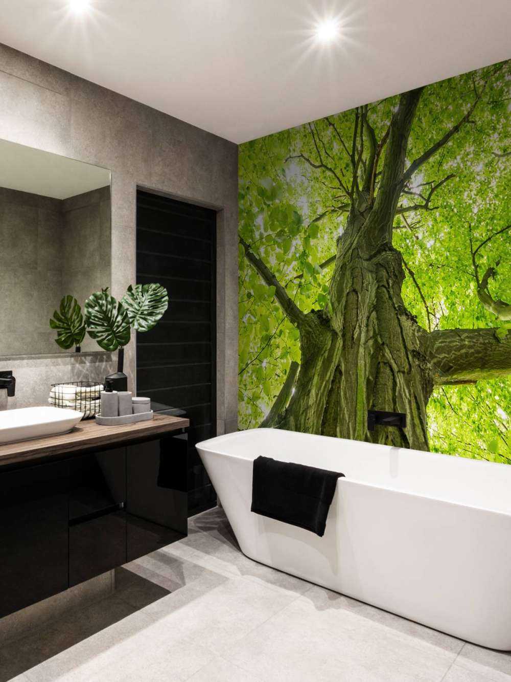 Grande albero nella foresta