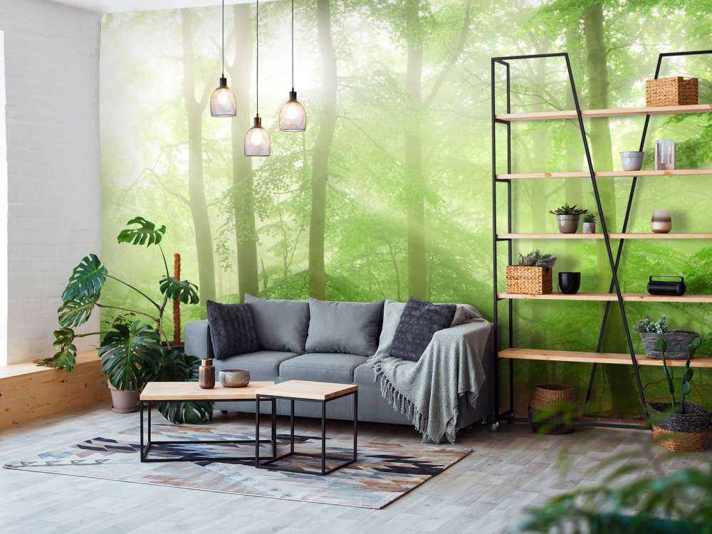 Panorama verde della foresta