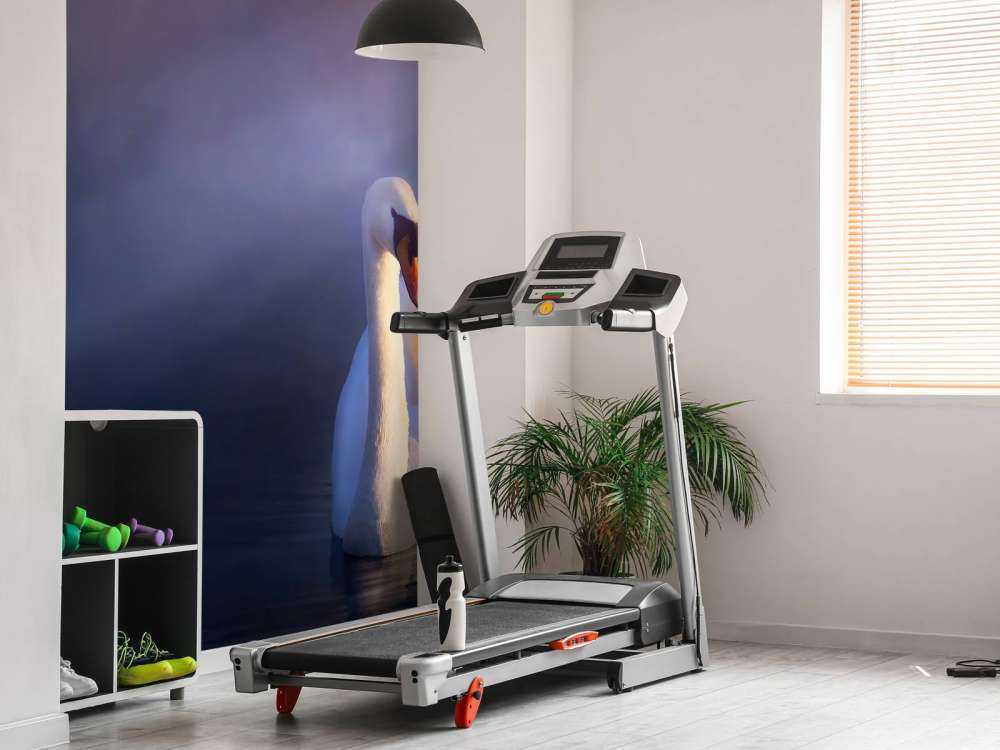 Amore coppia cigni bianchi coppia bianco