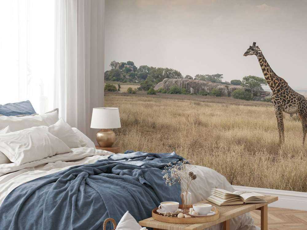 Giraffa su una savana