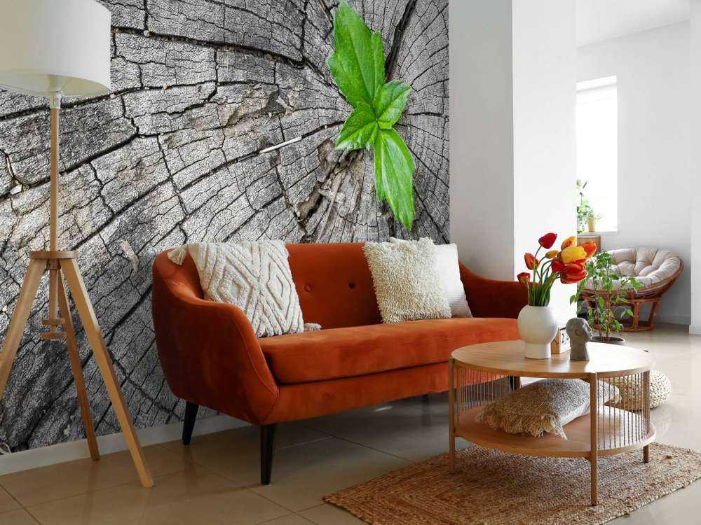 Diametro di un tronco d'albero 