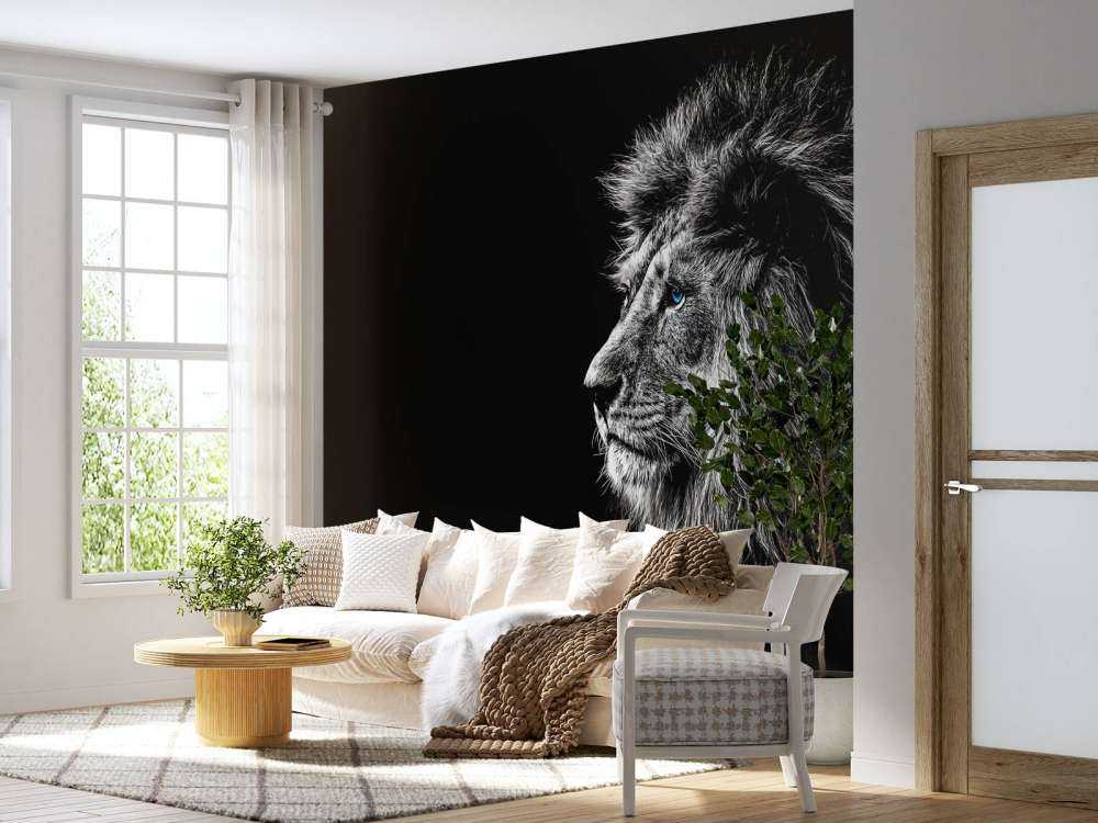 Leone con occhi azzurri