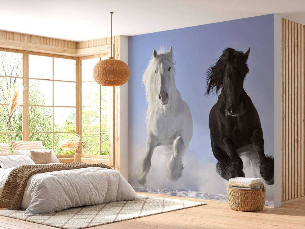 Bianco e cavallo nero