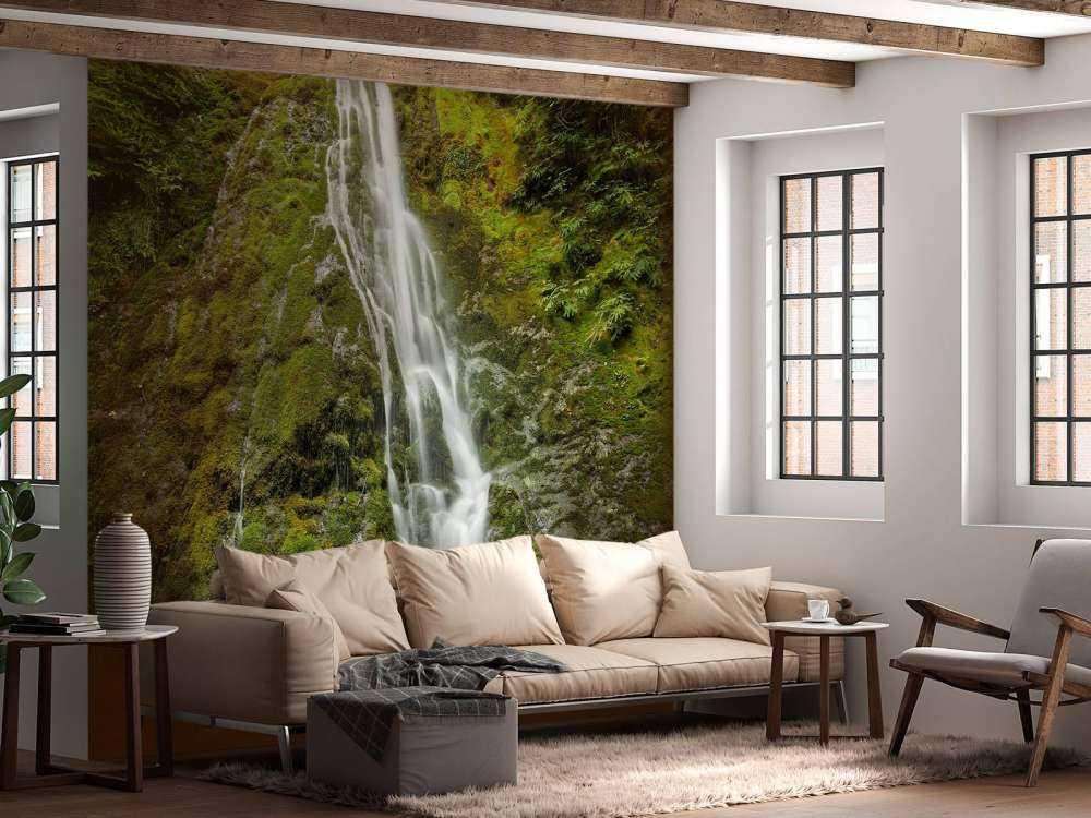 Cascata con un bellissimo verde 