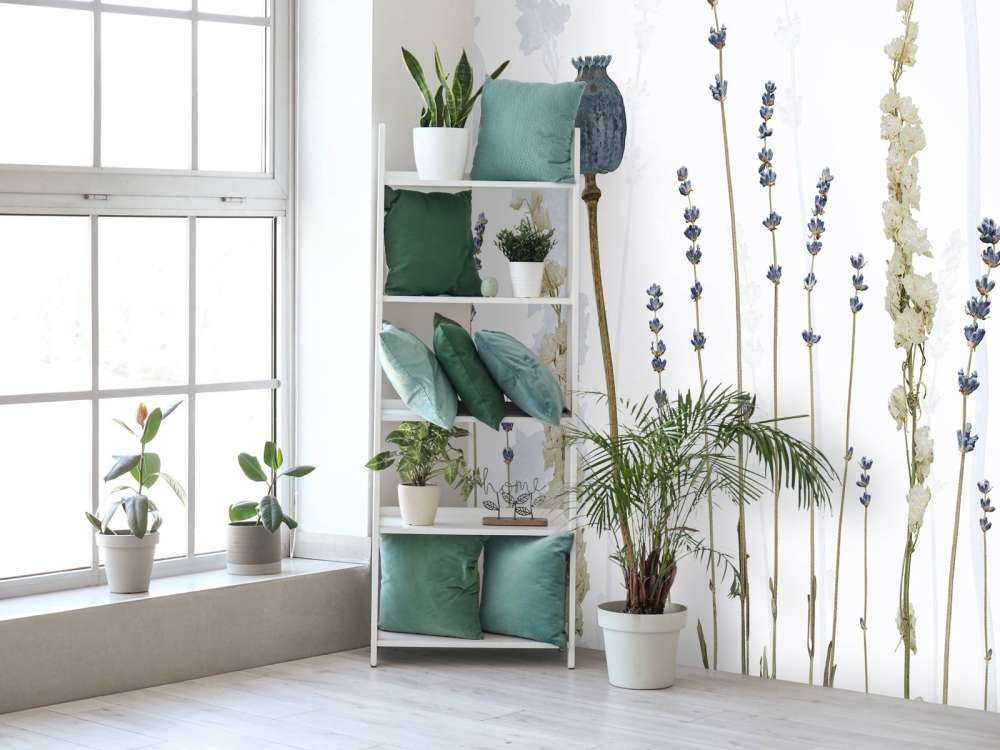 Acquerello Flora Sogno