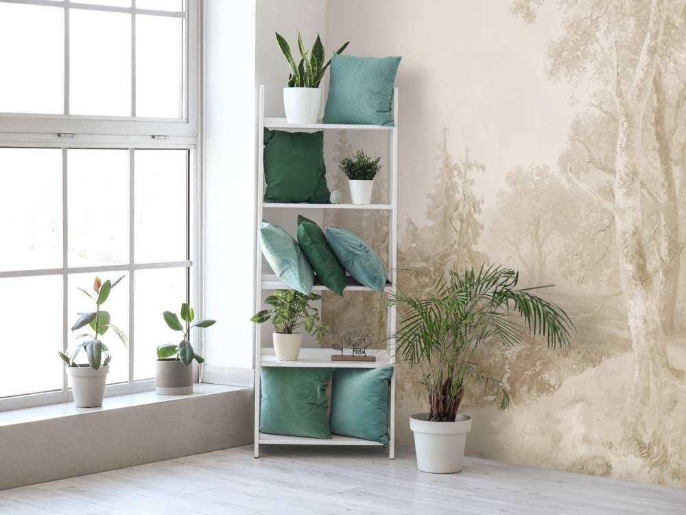 Paesaggio Forestale Beige #1