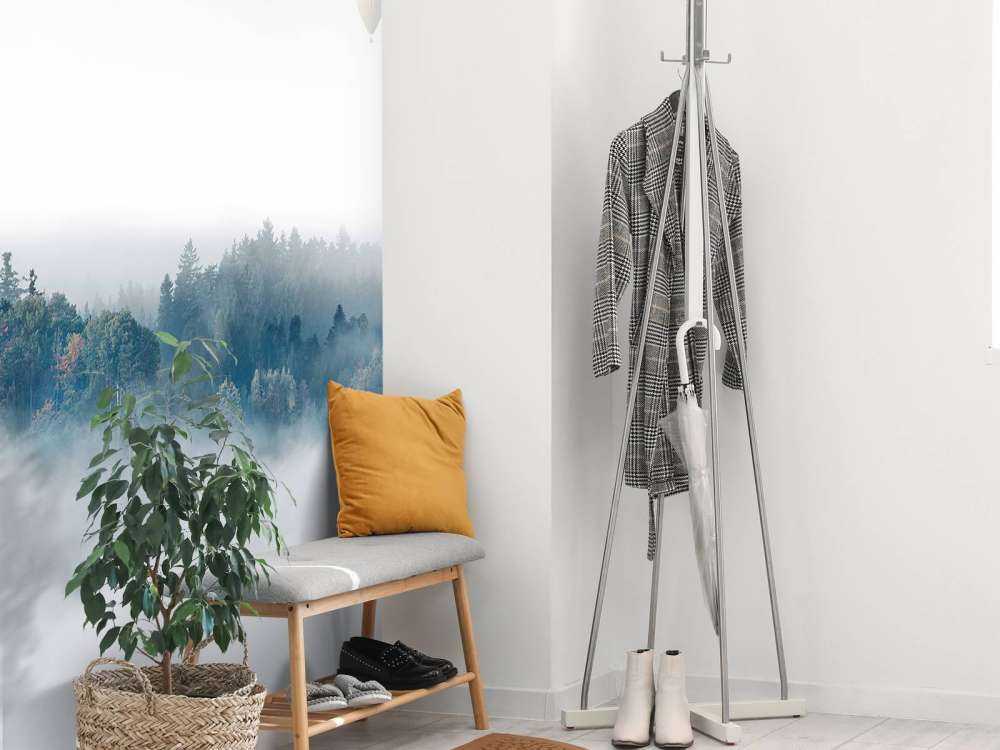 Misty Morning Surprise