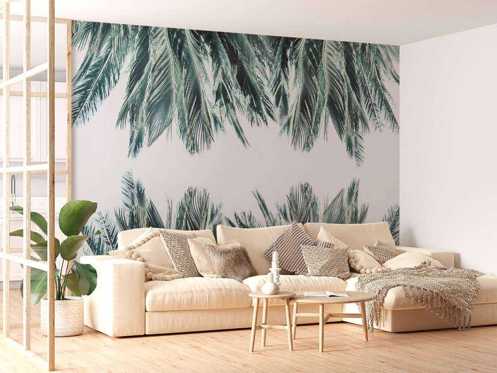 Foglie di palma su sfondo bianco