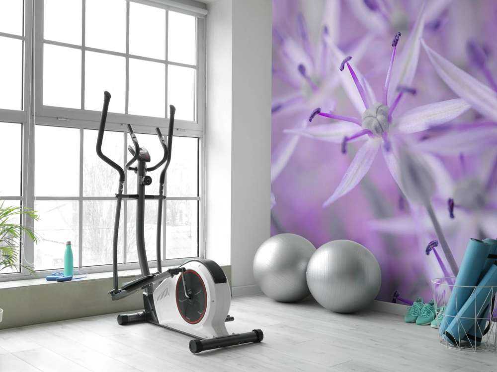 Fiori di allium viola