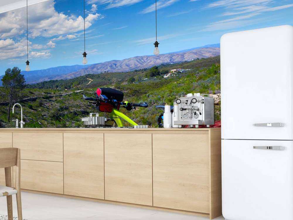 In bicicletta a Valencia