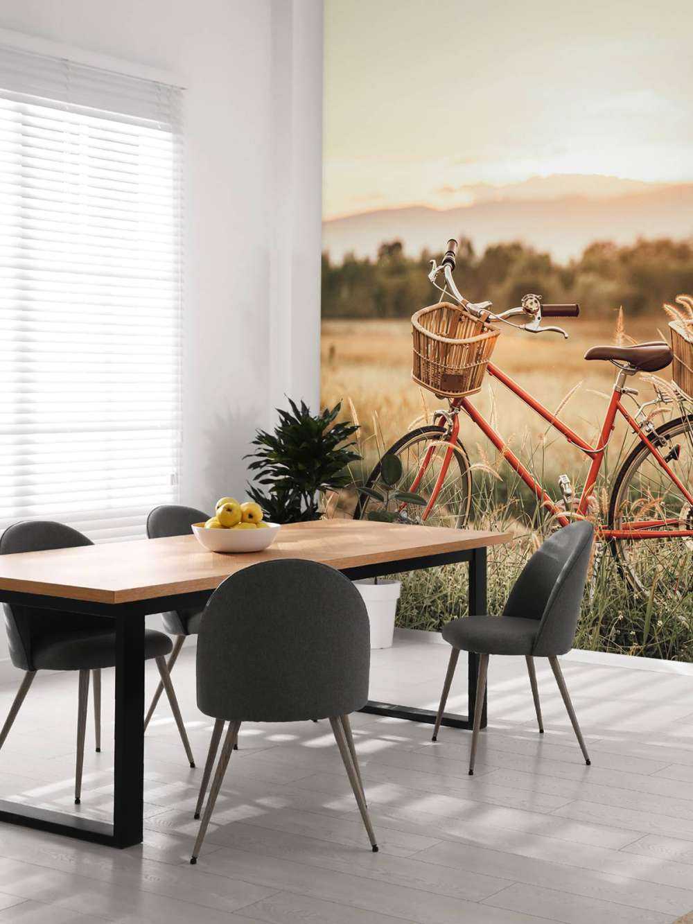 Bici d'epoca in estate