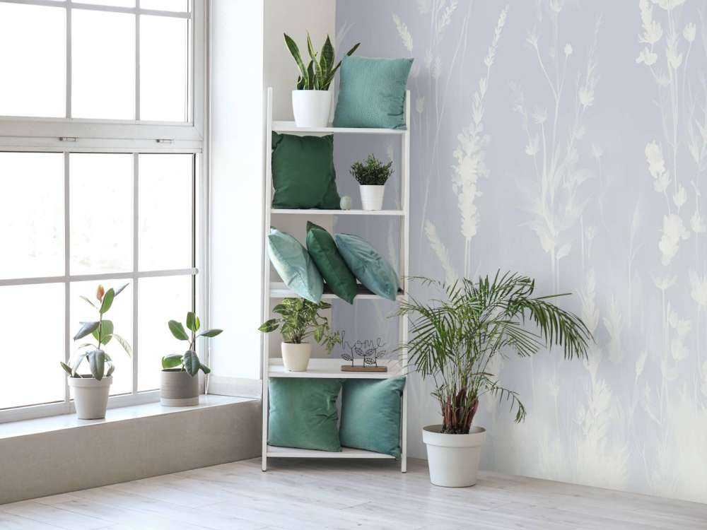 Lavanda Radura Senza Giunte Blu Polveroso