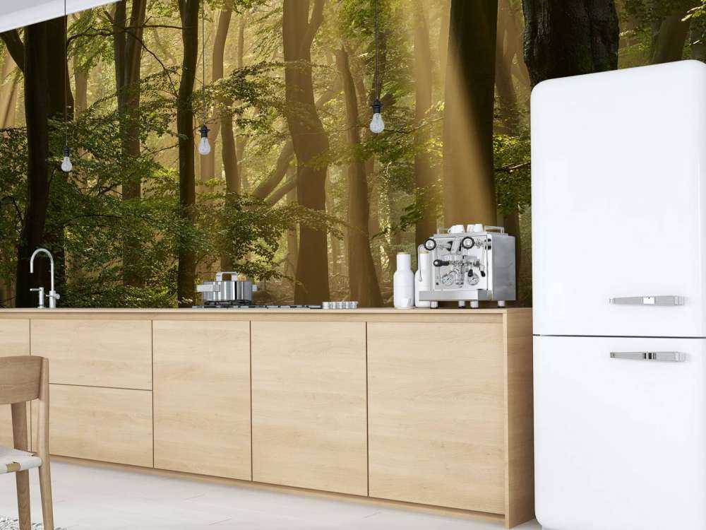 Vecchia foresta con alari