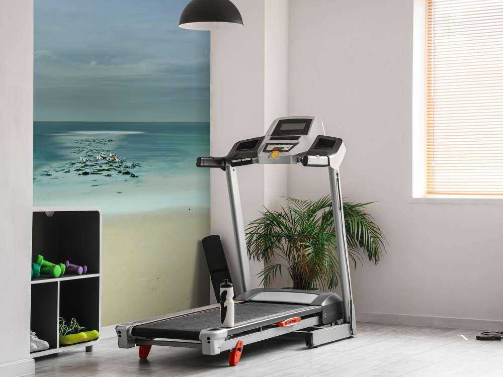 Mare calmo con gabbiani