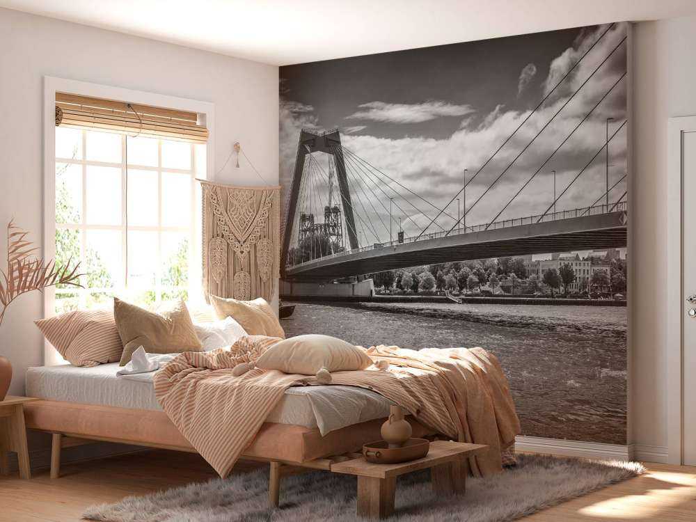 Passaggio del ponte Principe Willem Alexander a Rotterdam in bianco e nero