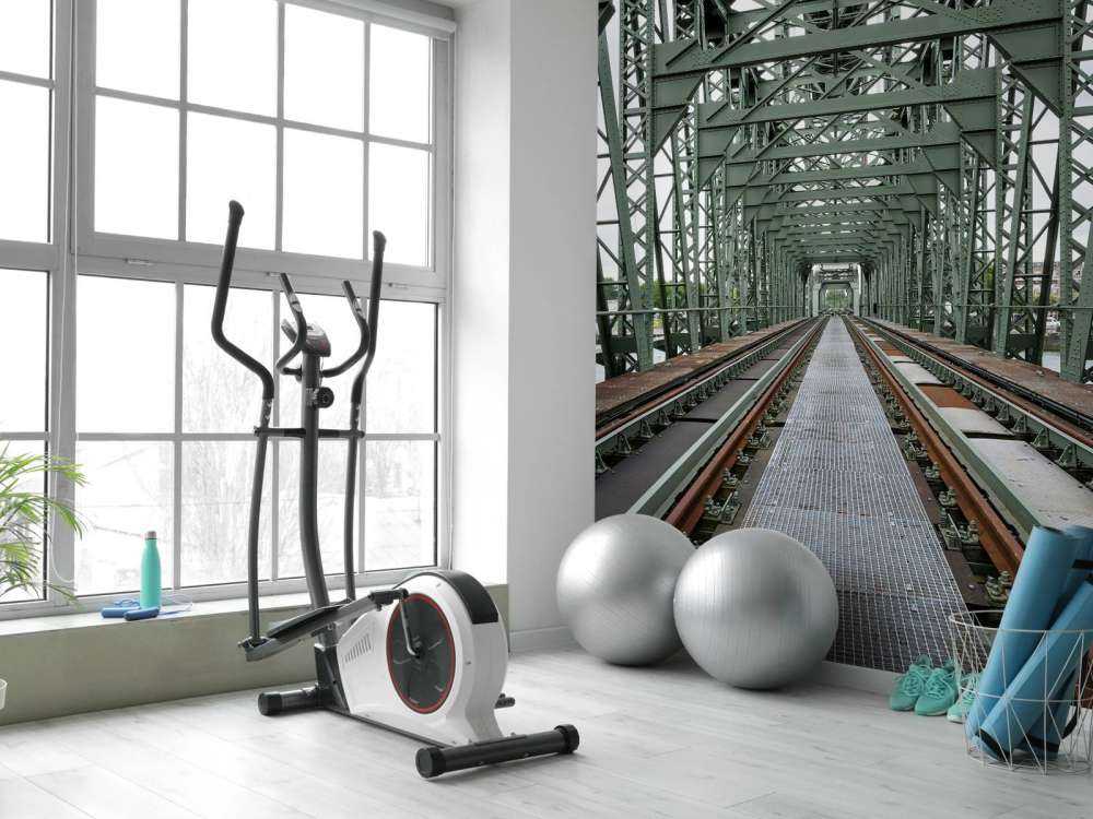 Ponte ferroviario monumentale De Hef a Rotterdam  