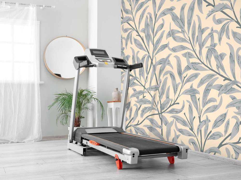 Piante che corrono in salita