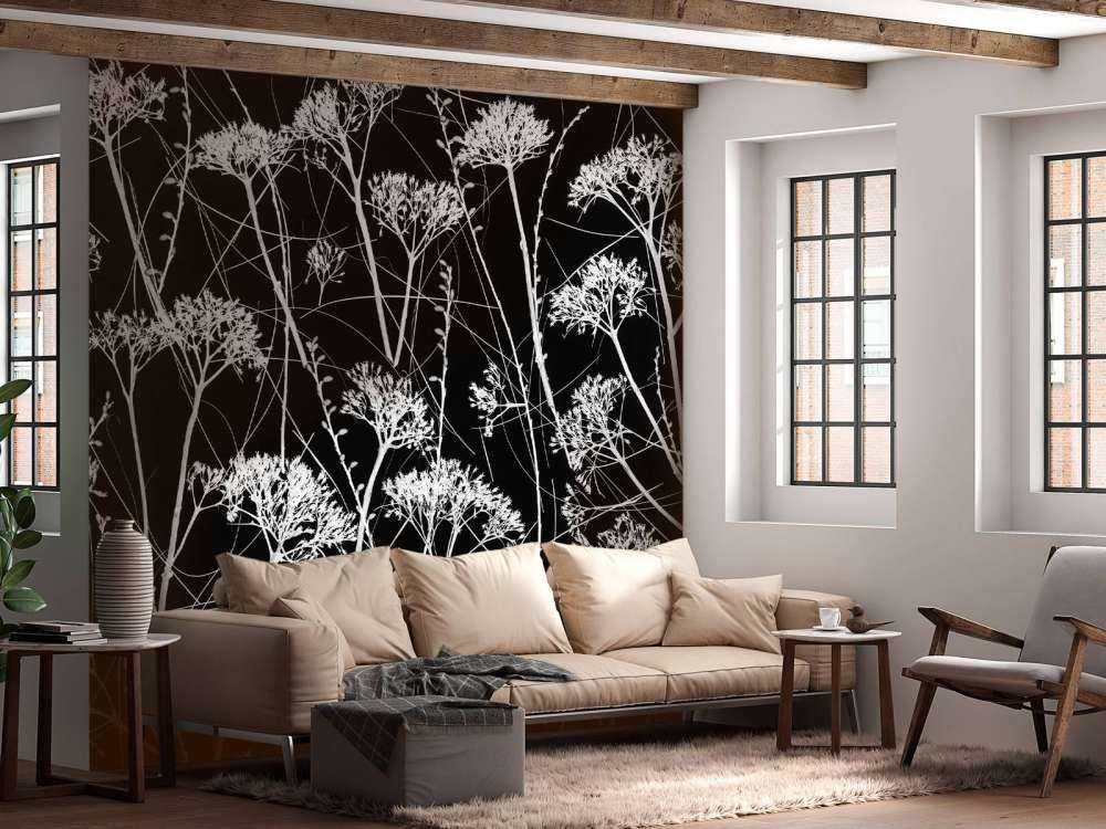 Silhouette di piante secche