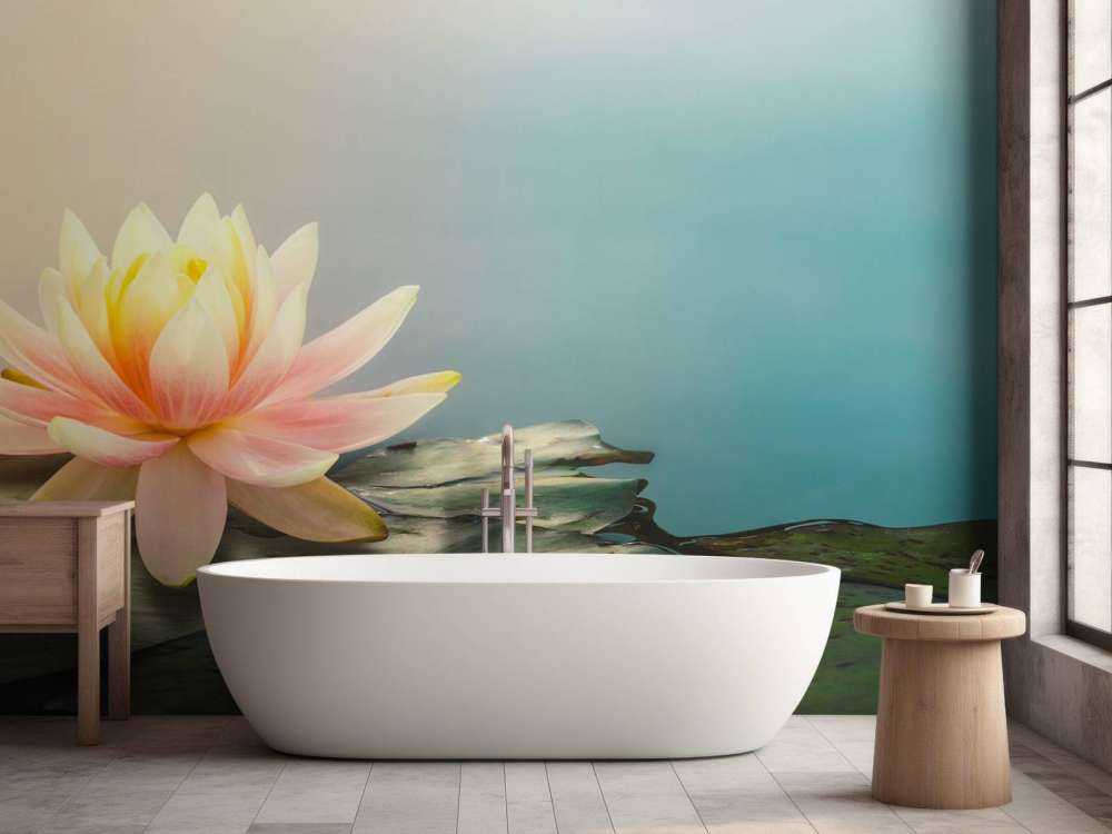 Stagno con fiori di loto