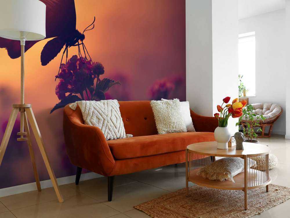 Farfalla con il tramonto