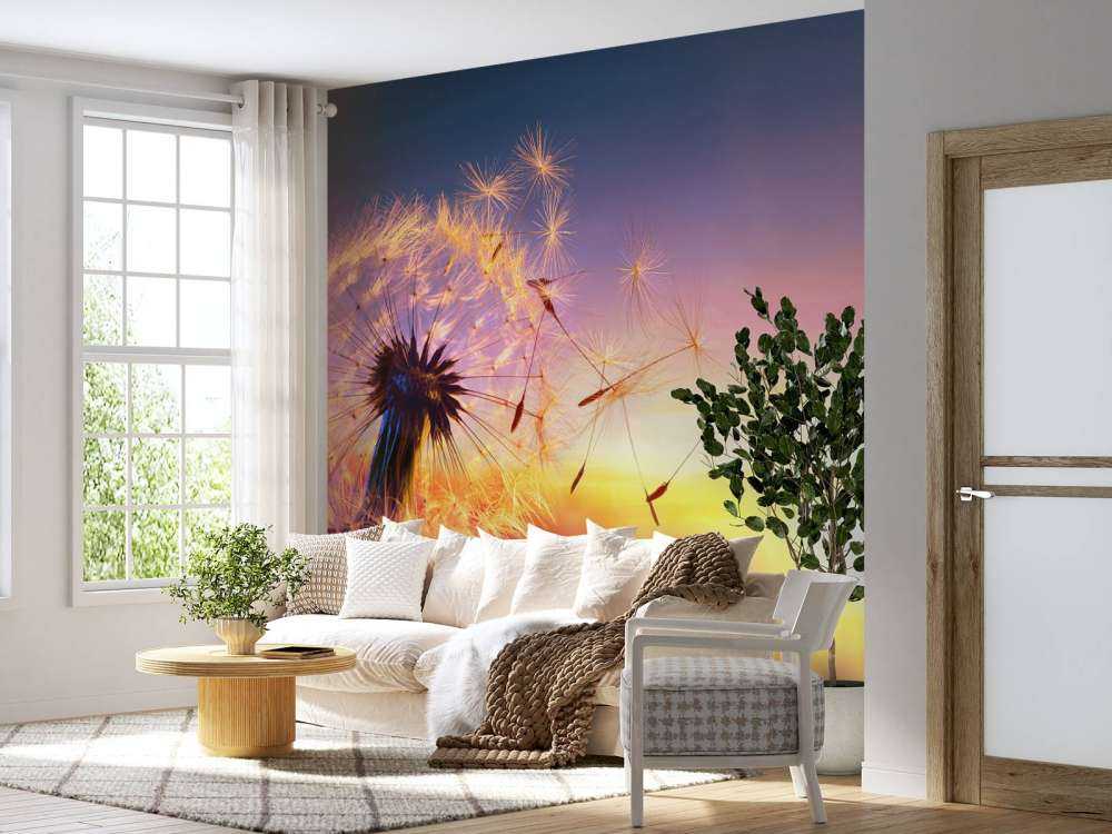 Tarassaco al tramonto