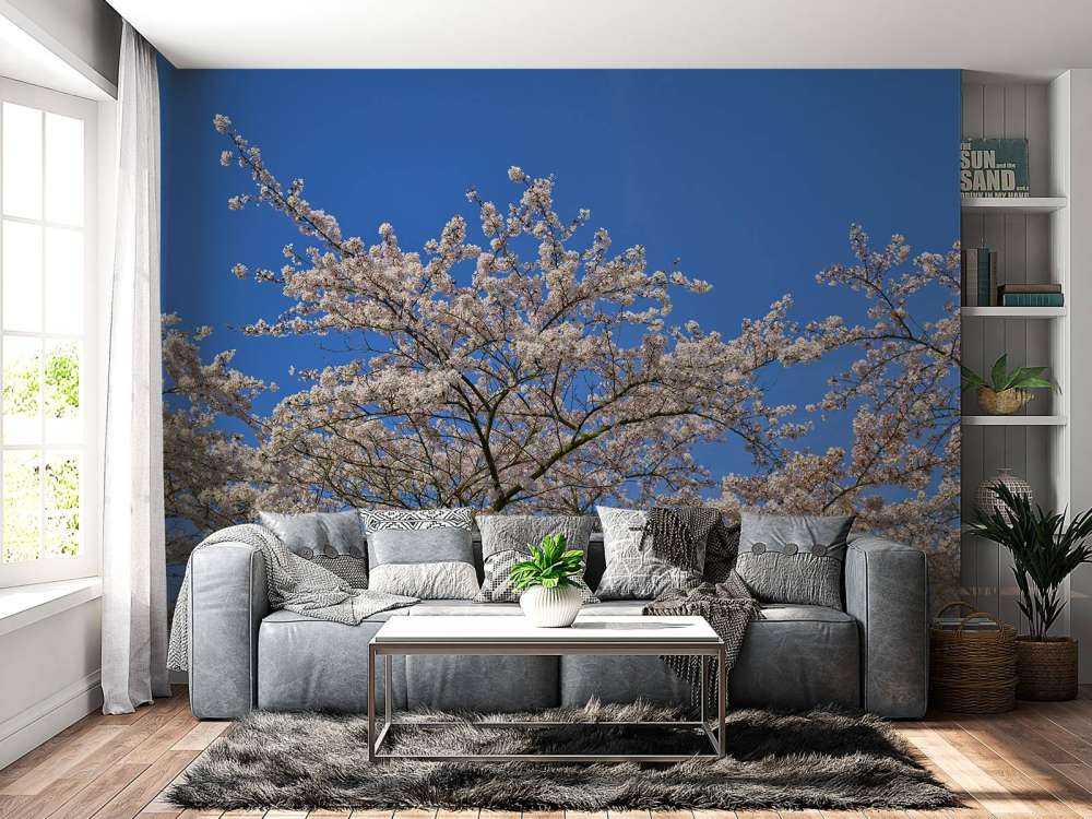 Fiore con il cielo blu