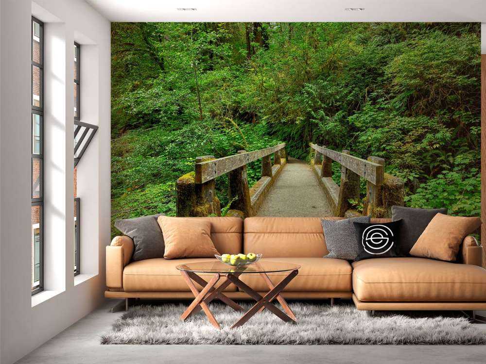 Un ponte nella foresta