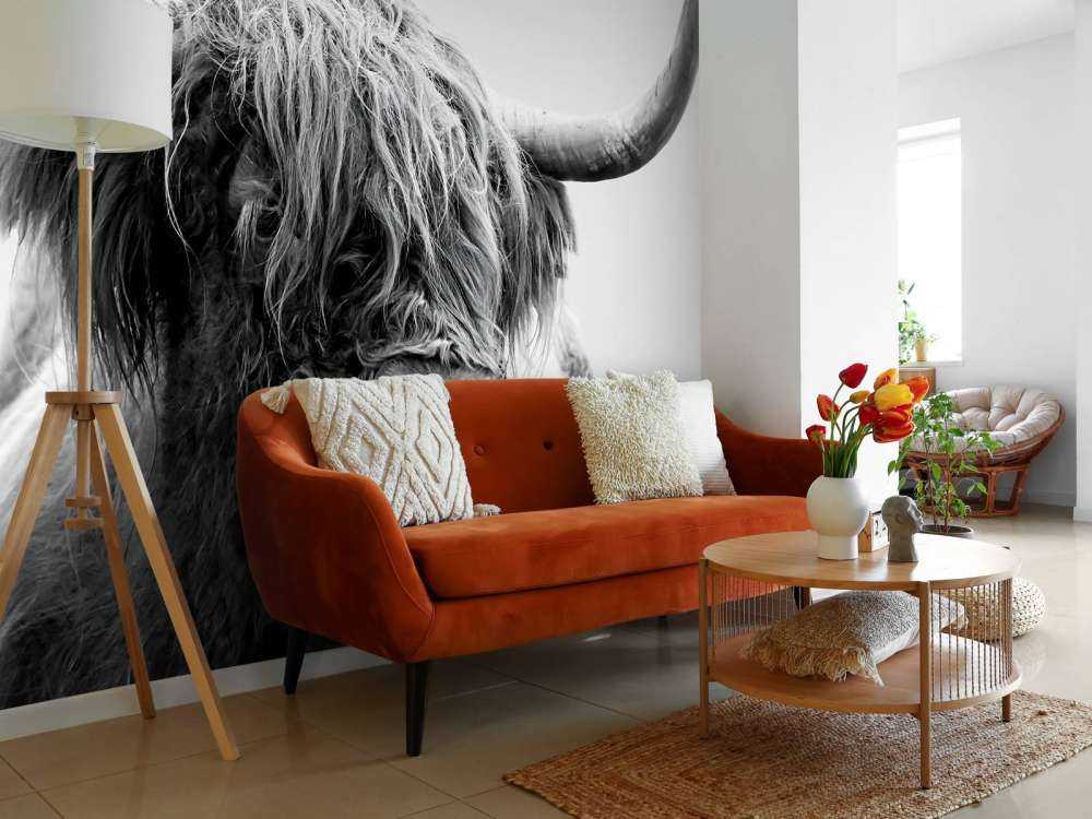 Divertente Highlander scozzese