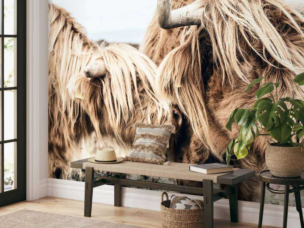 Due Highlander scozzesi