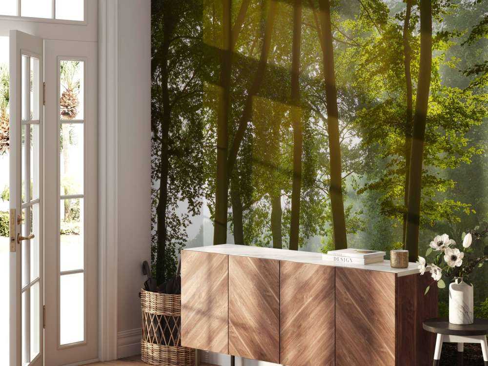 Foresta al sole del mattino