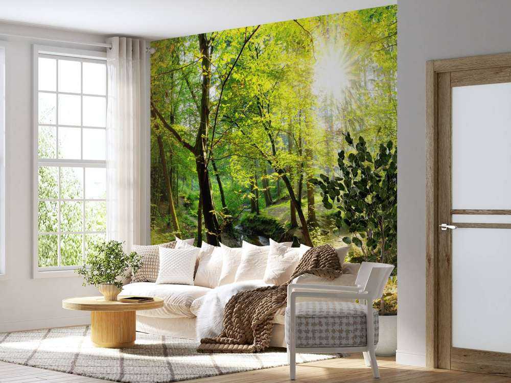 Foresta con un ruscello