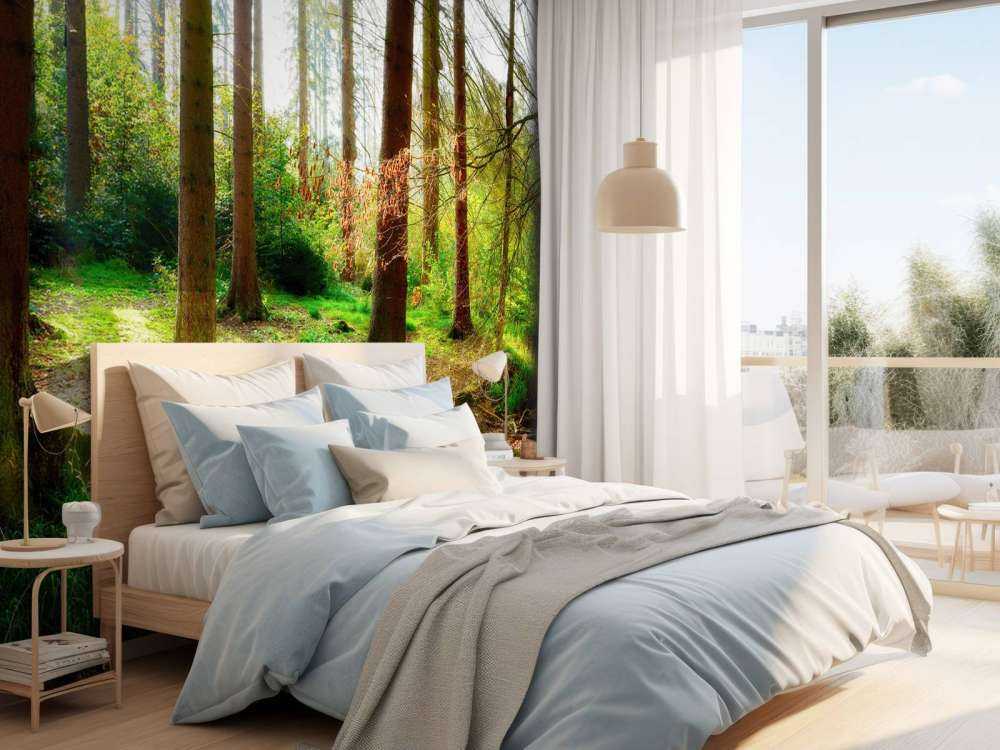 Foresta autunnale con luce solare brillante