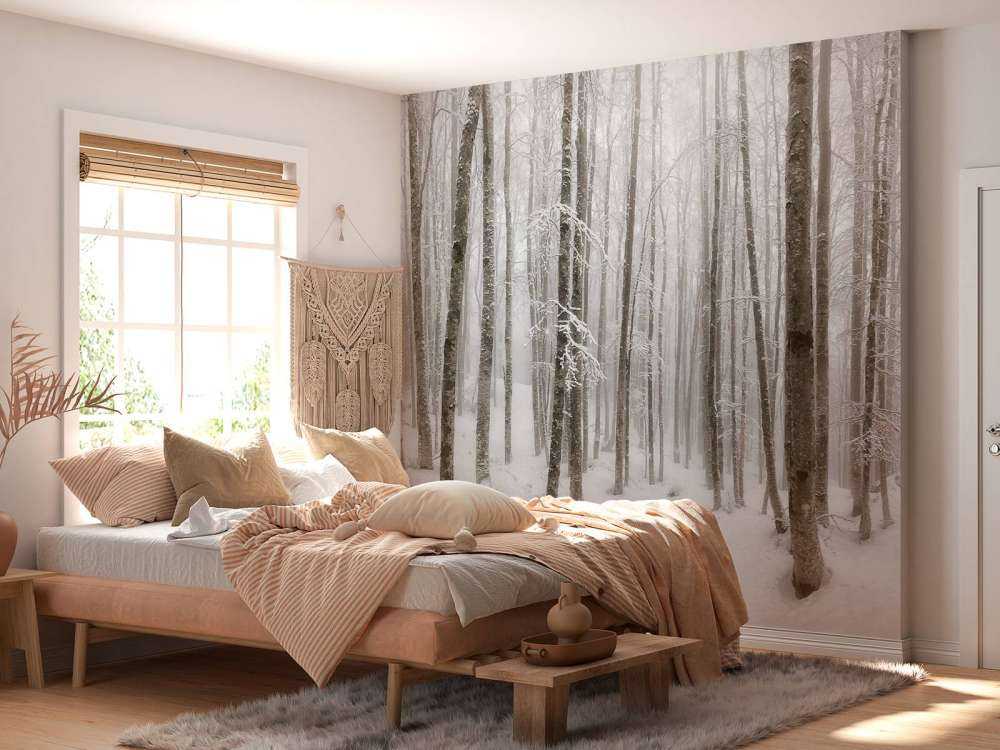 Foresta di faggio con neve