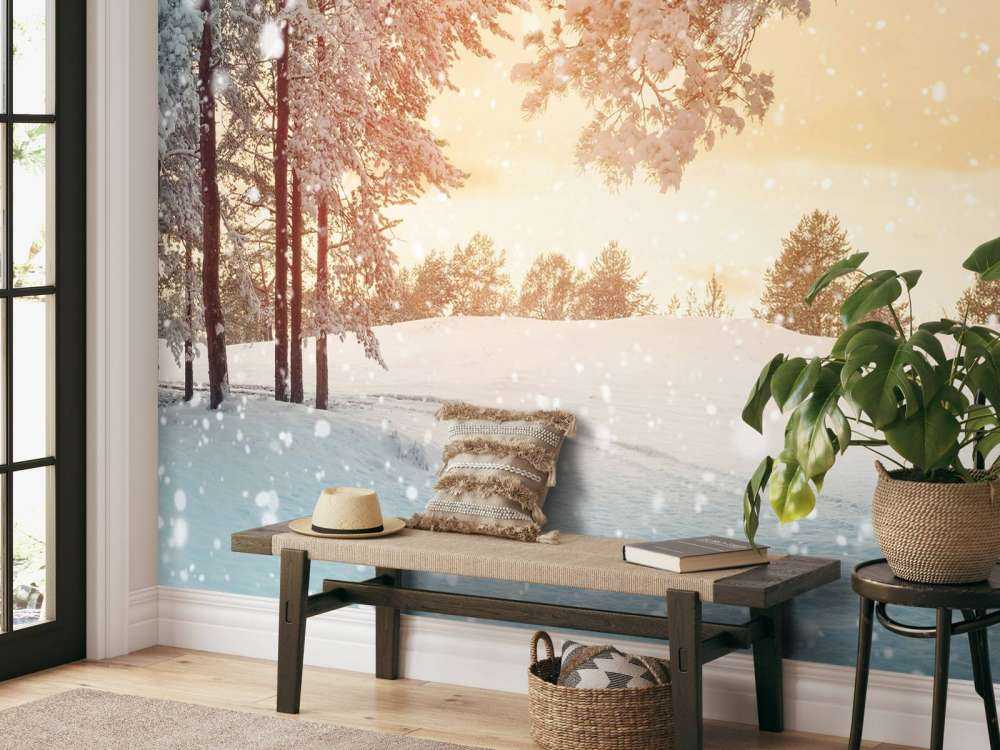 Alberi di pino con neve