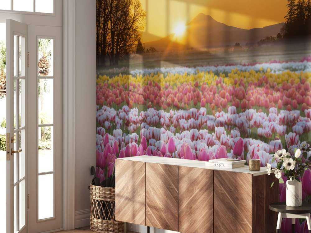 Campo di tulipani colorati